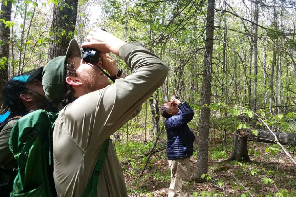 Finding a Mentor in Nature- Bernd Heinrich