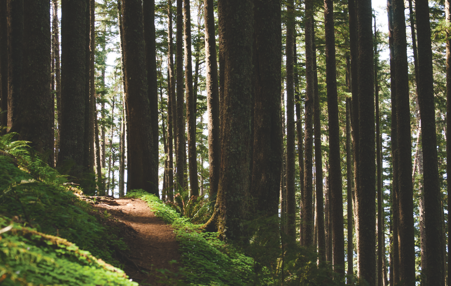 Why I Run N°2