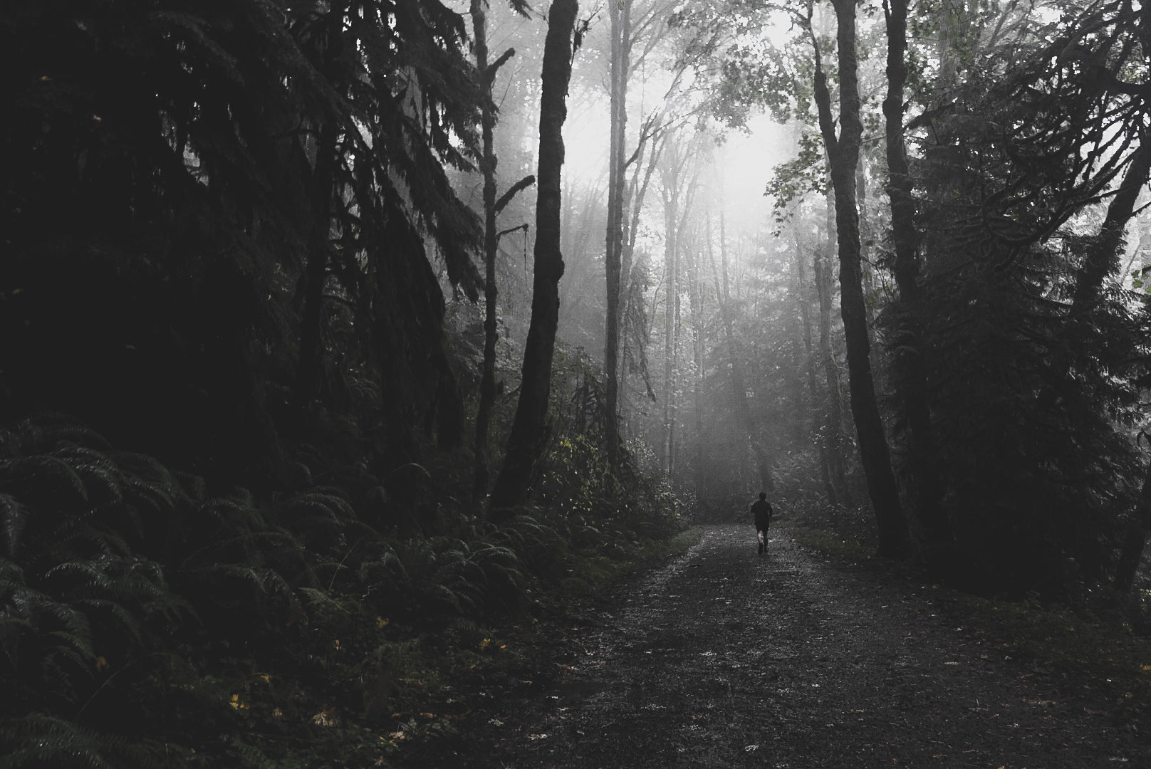 In Praise of Solitude