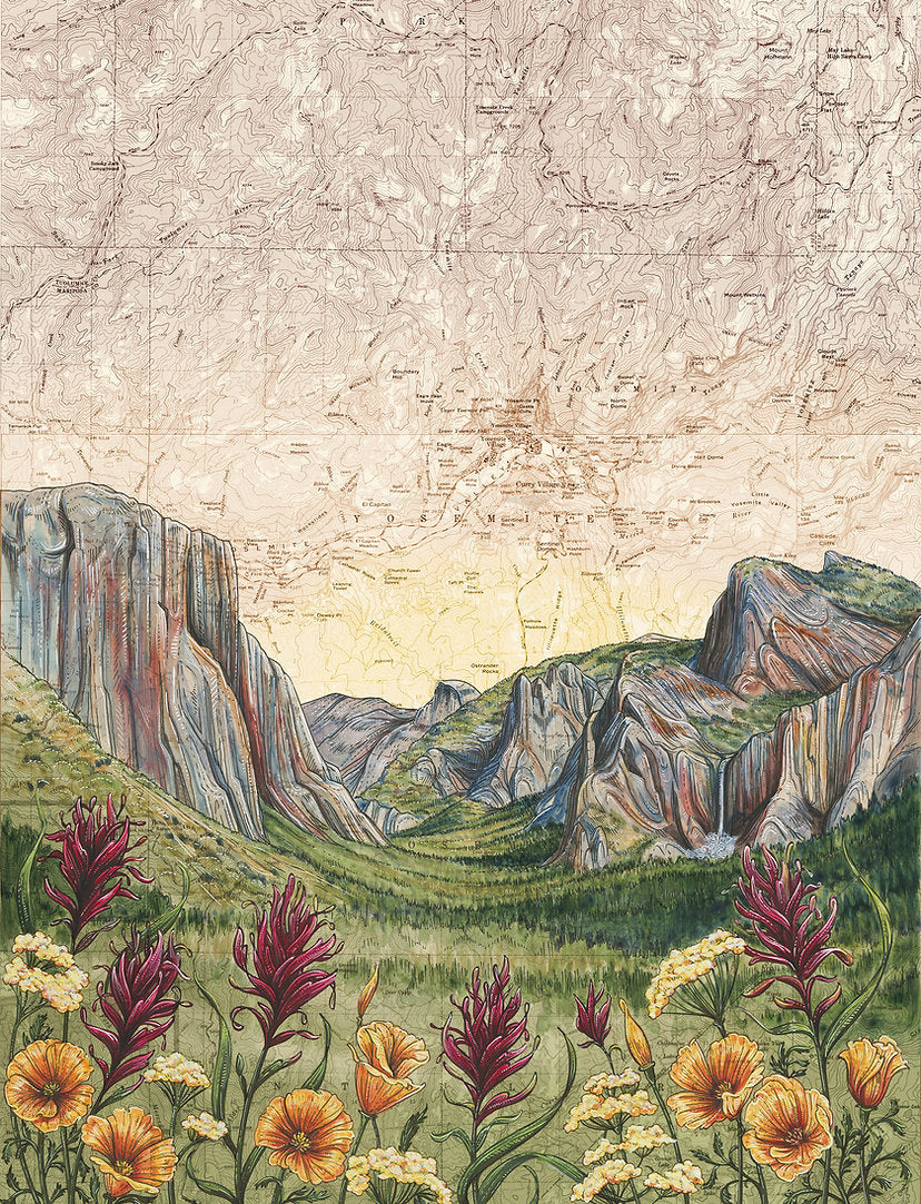 Yosemite Wildflowers Art Print w/ Mat - Pre Order