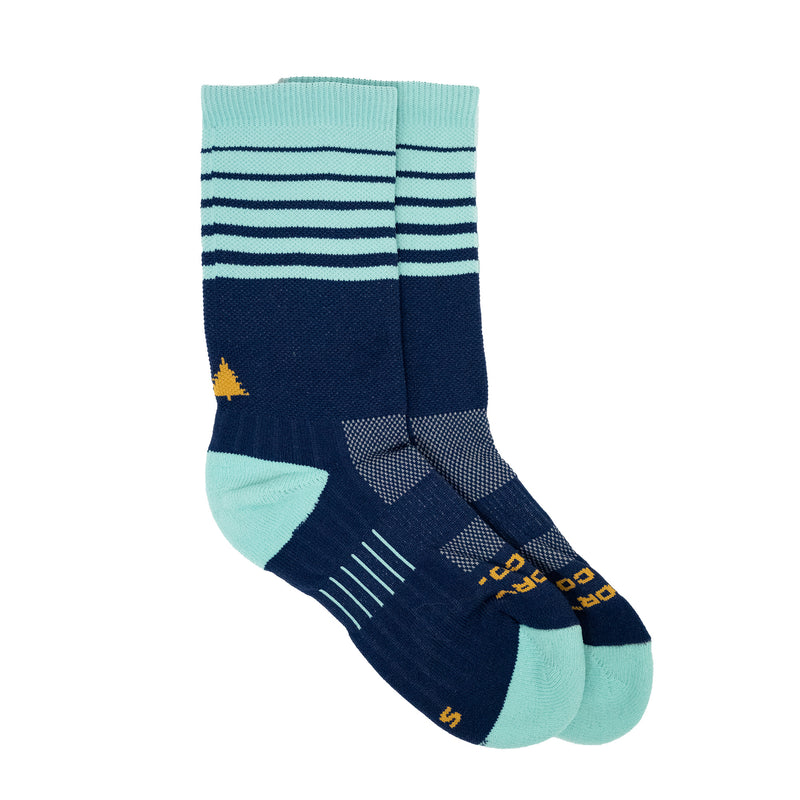 Longevity Sock