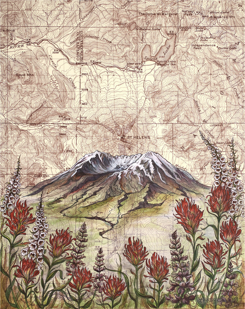 Mt. St. Helens Wildflowers Art Print w/ Mat - Pre Order