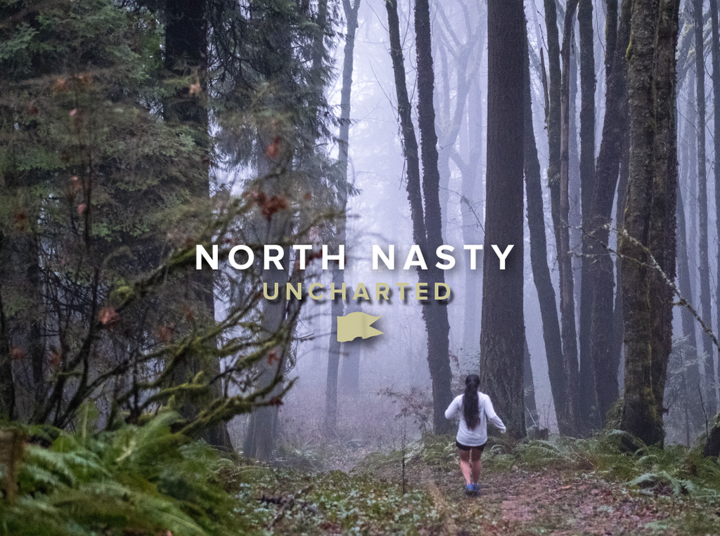 Unhcharted - North Nasty
