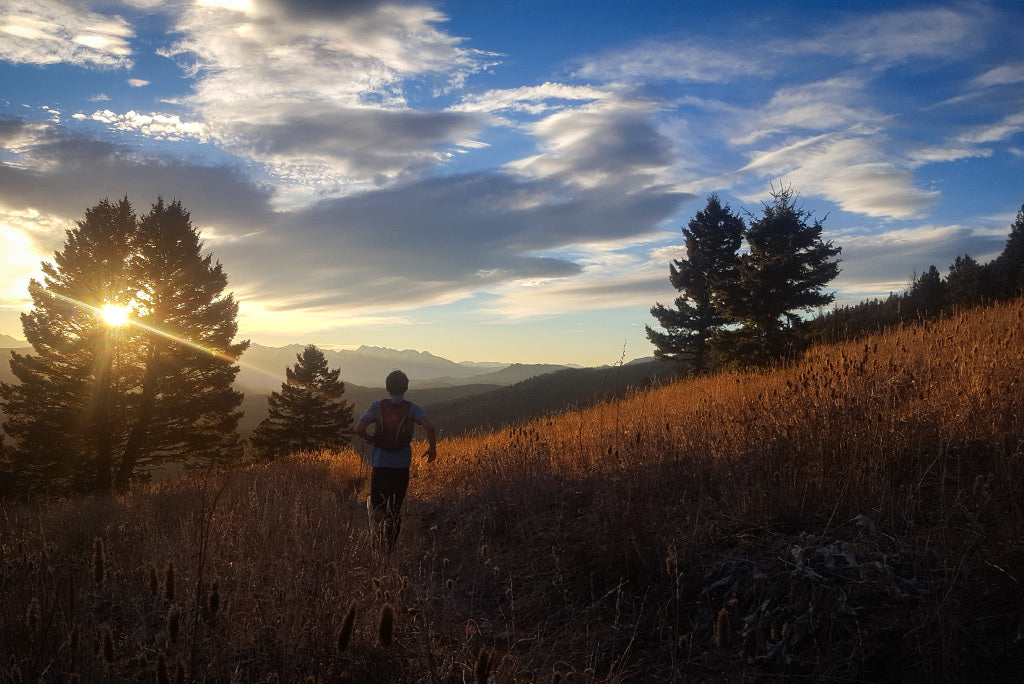 Turning Awe into Action: Reflections on Footsteps Across Our Largest Intact Ecosystem