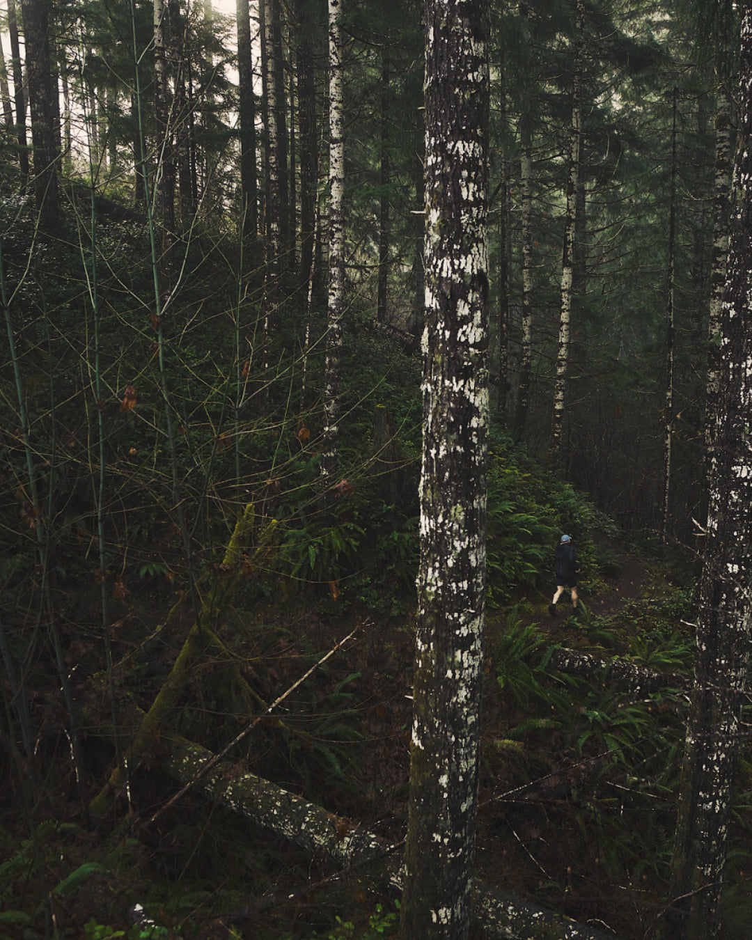 Lovely day for a run