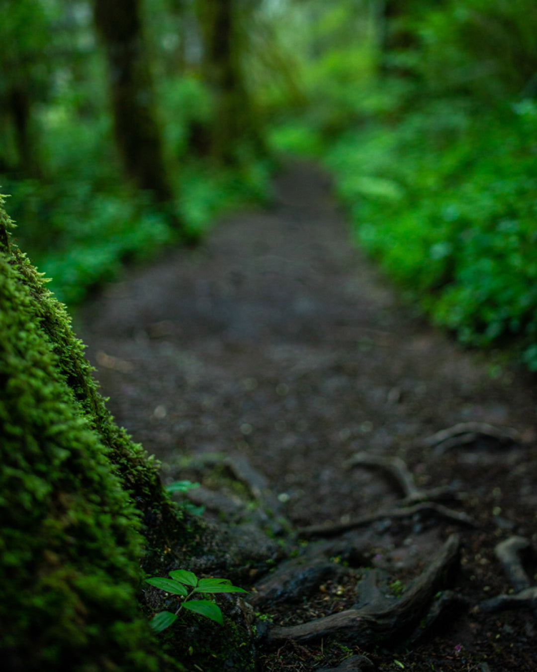 Metrics don't define Success