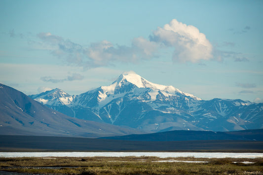 Our Wild - Alaska