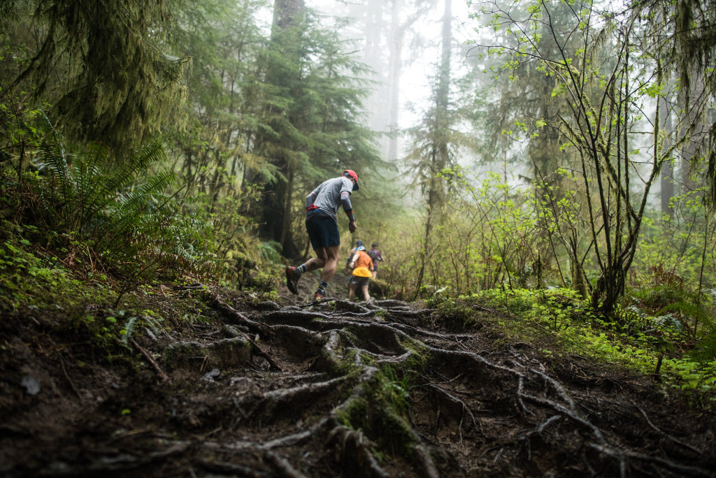 Freed in the Forest