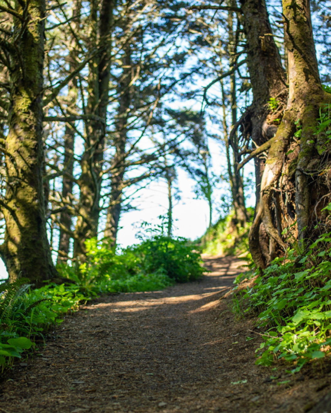 The Part of Running We Don't Talk About