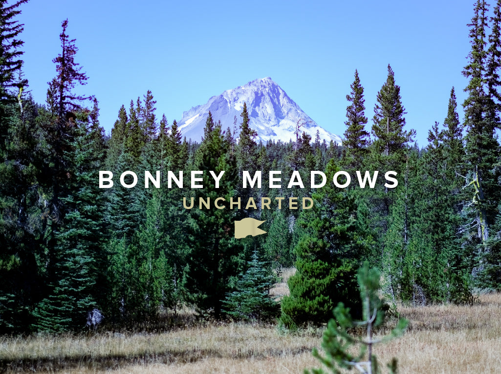 Bonney Meadows - Uncharted