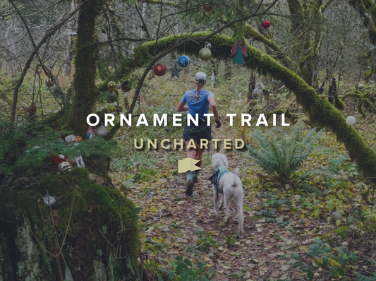 Ornament Trail - Uncharted