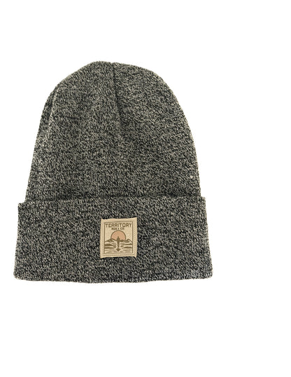 Territory Knit Cuffed Beanie