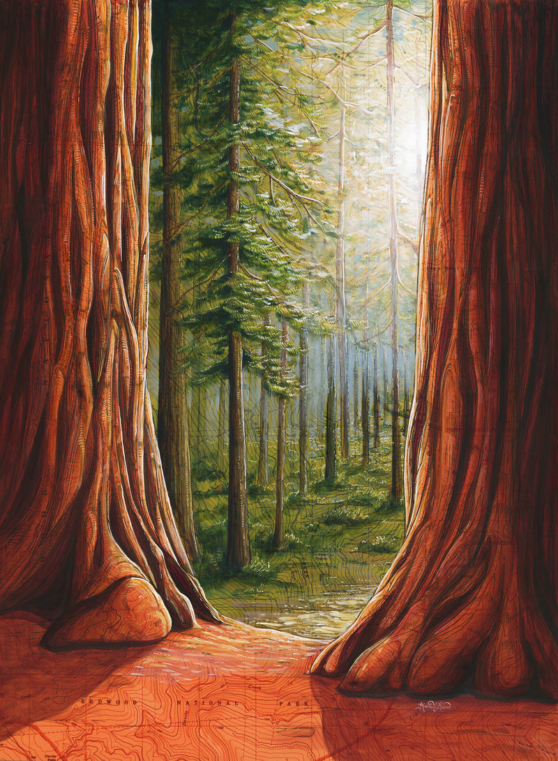 Redwood National Park Art Print w/ Mat - Pre Order